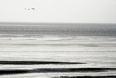 BUITEN BEELD Foto: 154772