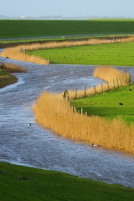 BUITEN BEELD Foto: 154782