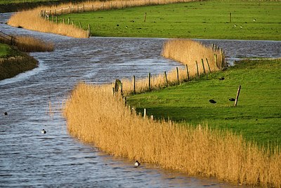 BUITEN BEELD Foto: 154783