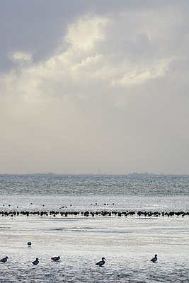 BUITEN BEELD Foto: 154791