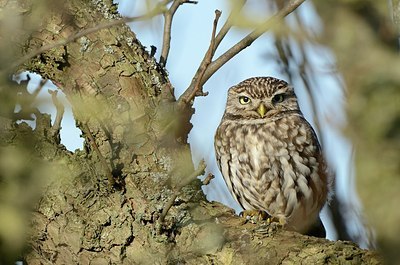 BUITEN BEELD Foto: 154858