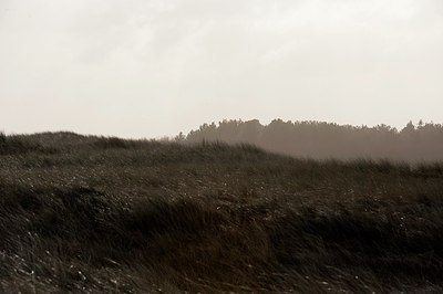 BUITEN BEELD Foto: 154879