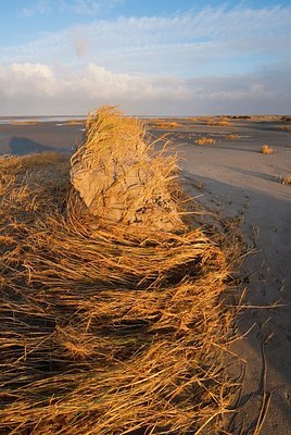 BUITEN BEELD Foto: 154887