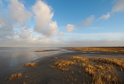 BUITEN BEELD Foto: 154888