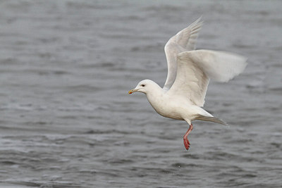 BUITEN BEELD Foto: 154949