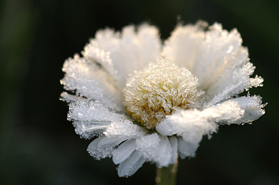 BUITEN BEELD Foto: 154956