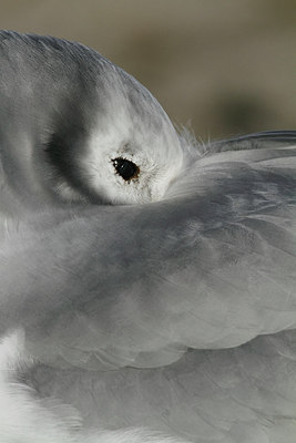 BUITEN BEELD Foto: 154958