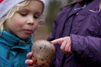 BUITEN BEELD Foto: 154981