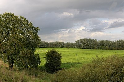 BUITEN BEELD Foto: 154991