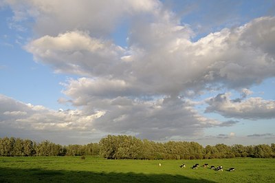 BUITEN BEELD Foto: 155010