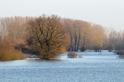 BUITEN BEELD Foto: 155045