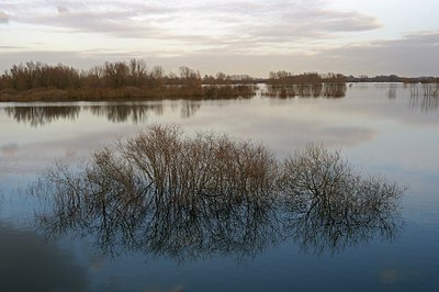 BUITEN BEELD Foto: 155069