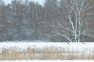 BUITEN BEELD Foto: 155079