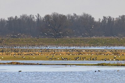 BUITEN BEELD Foto: 155126