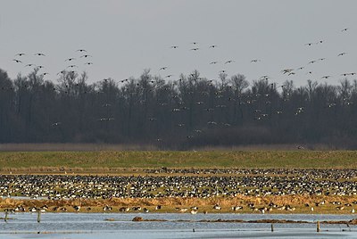 BUITEN BEELD Foto: 155132