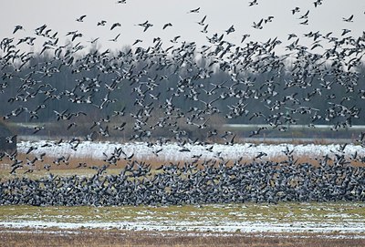 BUITEN BEELD Foto: 155159