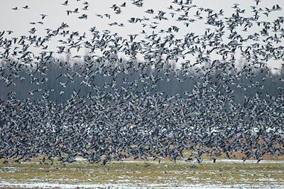 BUITEN BEELD Foto: 155162