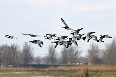 BUITEN BEELD Foto: 155195
