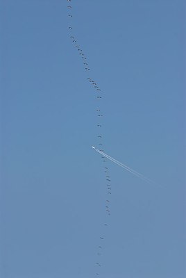 BUITEN BEELD Foto: 155206