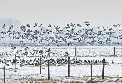 BUITEN BEELD Foto: 155215