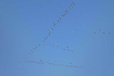 BUITEN BEELD Foto: 155220