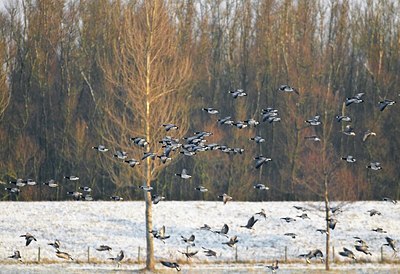 BUITEN BEELD Foto: 155228