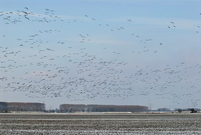 BUITEN BEELD Foto: 155288