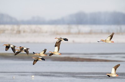 BUITEN BEELD Foto: 155299