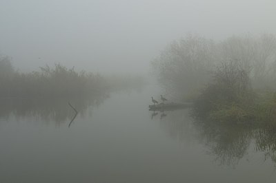 BUITEN BEELD Foto: 155304