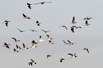 BUITEN BEELD Foto: 155308