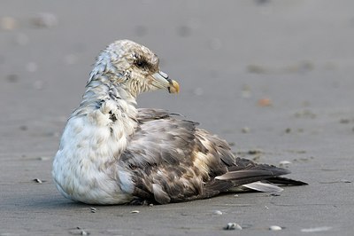 BUITEN BEELD Foto: 155328