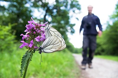 BUITEN BEELD Foto: 155370