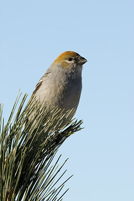 BUITEN BEELD Foto: 155434