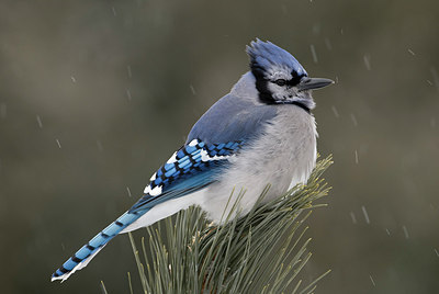 BUITEN BEELD Foto: 155440