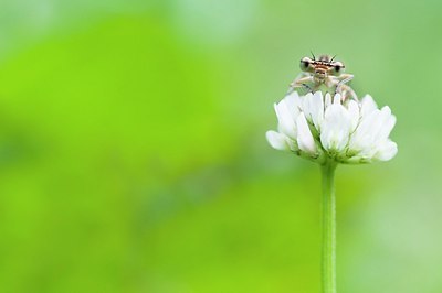 BUITEN BEELD Foto: 155442