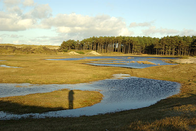 BUITEN BEELD Foto: 155457