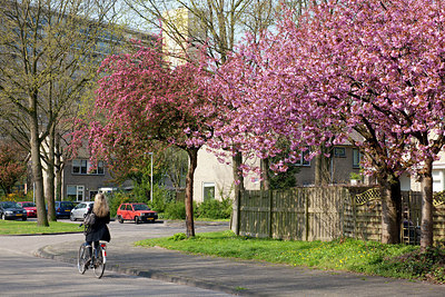 BUITEN BEELD Foto: 155464