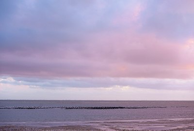 BUITEN BEELD Foto: 155528