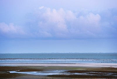 BUITEN BEELD Foto: 155547