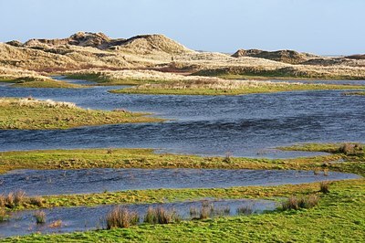 BUITEN BEELD Foto: 155559