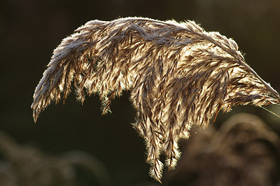 BUITEN BEELD Foto: 155603