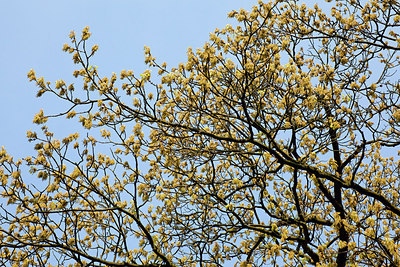 BUITEN BEELD Foto: 155641