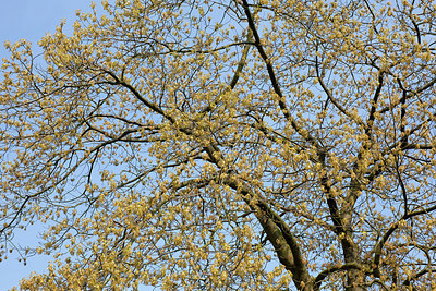 BUITEN BEELD Foto: 155658