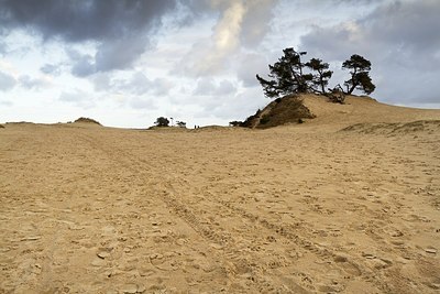BUITEN BEELD Foto: 155671
