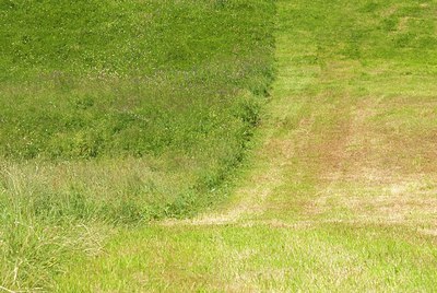 BUITEN BEELD Foto: 155677