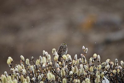 BUITEN BEELD Foto: 155712