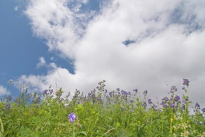 BUITEN BEELD Foto: 155730