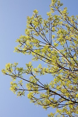 BUITEN BEELD Foto: 155741