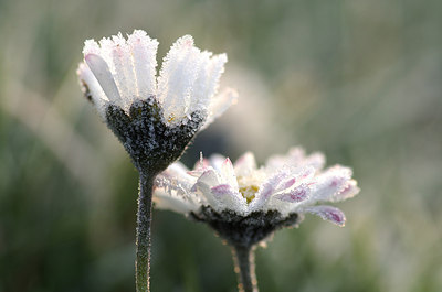 BUITEN BEELD Foto: 155768