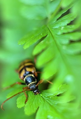 BUITEN BEELD Foto: 155803